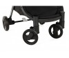   Glamvers Izabel     - Glamvers Izabel    