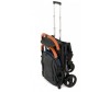   Glamvers Izabel     - Glamvers Izabel    