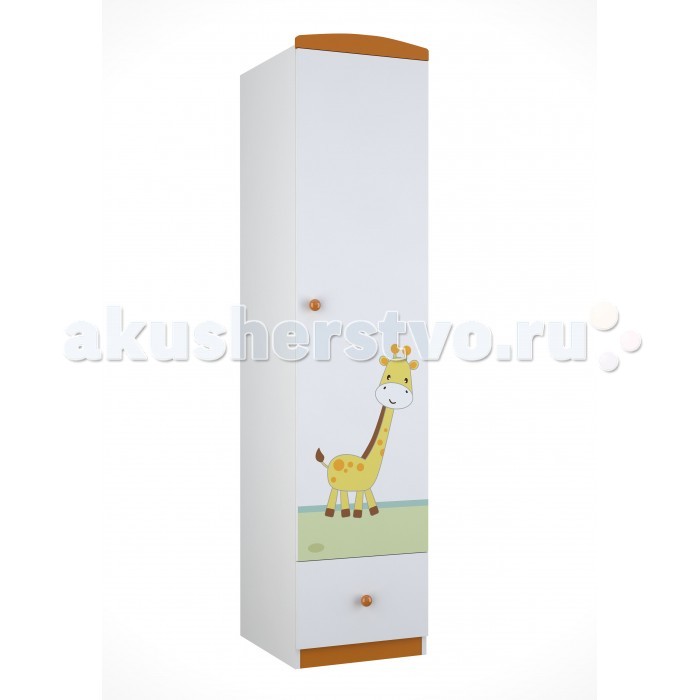  Polini Basic  