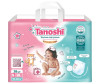  Tanoshi -   XL (12-22 ) 38 . - Tanoshi -   XL (12-22 ) 38 .