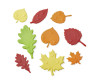  Learning Resources          - Learning Resources         