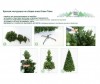  Green Trees     150  - Green Trees     150 