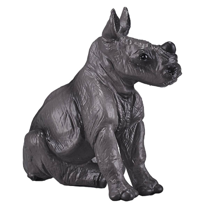  Konik   