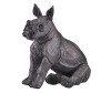  Konik    - Konik   