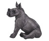  Konik    - Konik   