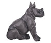  Konik    - Konik   