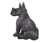  Konik    - Konik   