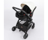 - Street Racer Terra C () - Street Racer Terra C
