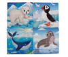  KiddieArt   4  1   31  - KiddieArt   41   31 