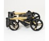  Mr Sandman West-East Gold 2  1 (50%  ) - Mr Sandman West-East Gold 2  1 50%  