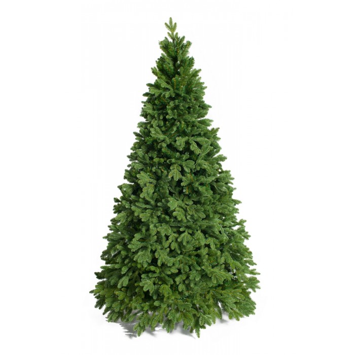  Green Trees    270 