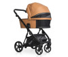  Riko Basic  Yoga Ecco 2  1 - Riko Basic  Yoga Ecco 2  1