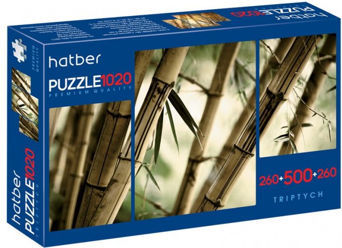  Hatber   Premium Triptych   (1020 )