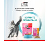  Purina ONE        75  - Purina ONE        75 