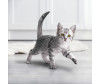  Purina ONE        75  - Purina ONE        75 