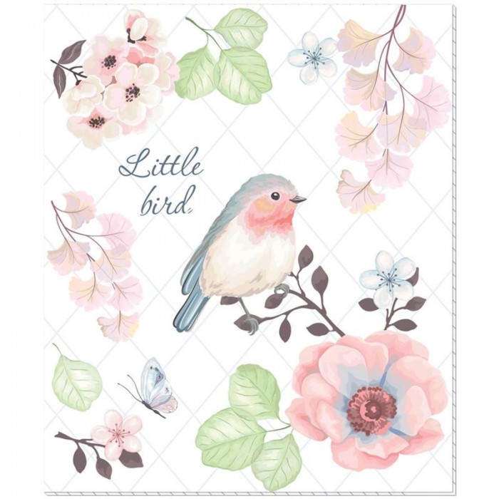  1 School     Little Bird 5 (48 )