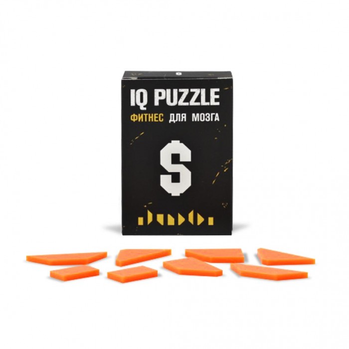  IQ Puzzle  