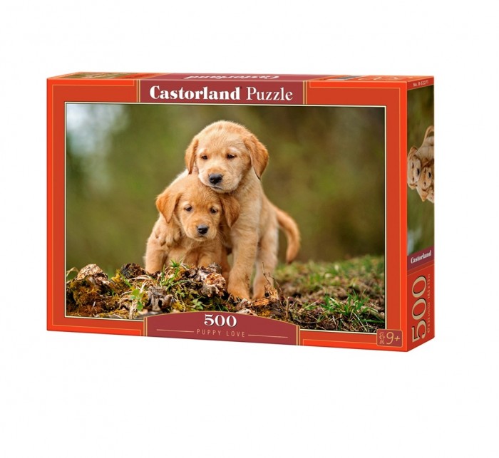  Castorland   500 