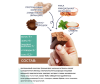  ProteinRex     LOW CARB    99  35  - 3-1648474652