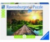  Ravensburger    1000  - Ravensburger    1000 