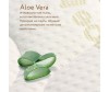  Plitex Aloe Vera Soft 1196011 - Plitex Aloe Vera Soft 1196011