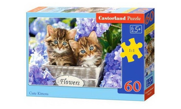  Castorland Puzzle   Midi (60 )