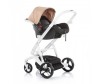  Chipolino Electra 3  1 - Chipolino Electra 3  1