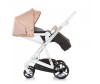  Chipolino Electra 3  1 - Chipolino Electra 3  1
