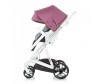  Chipolino Electra 3  1 - Chipolino Electra 3  1