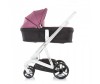  Chipolino Electra 3  1 - Chipolino Electra 3  1