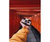   IqGears  - 3D  Pinhole Camera - IqGears  - 3D  Pinhole Camera
