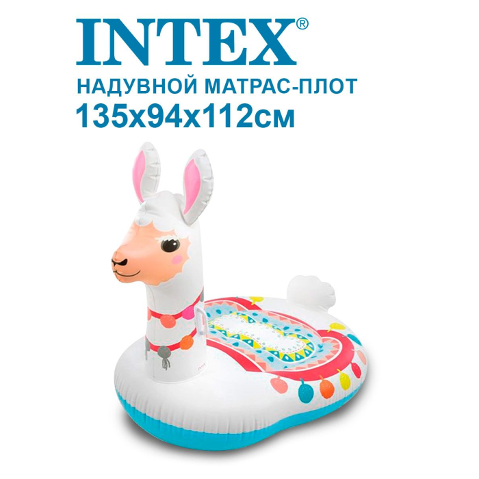  Intex      13594112 57564NP
