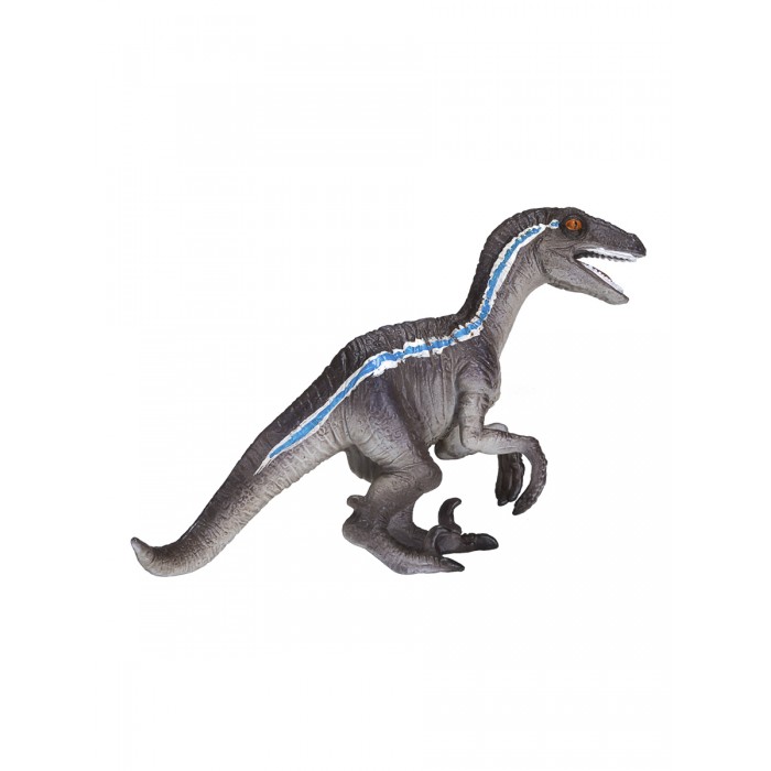  Mojo Animal Planet    M