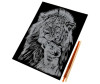  Multiart         - Multiart        