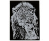  Multiart         - Multiart        