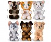   IMC toys Club Petz  - IMC toys Club Petz    