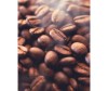  Davidoff  Espresso  500  - Davidoff   Espresso  500 
