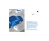    .          - Dom_dlya_druga_WB_1-1662367031