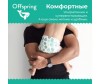  Offspring -  L (9-13 ) 36 . - Offspring -   L (9-13 ) 36 .