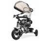   Small Rider Platinum    - Small Rider Platinum   
