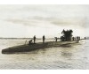  Revell   U-Boot Typ VIIC; 1:350 - Revell   U-Boot Typ VIIC; 1:350