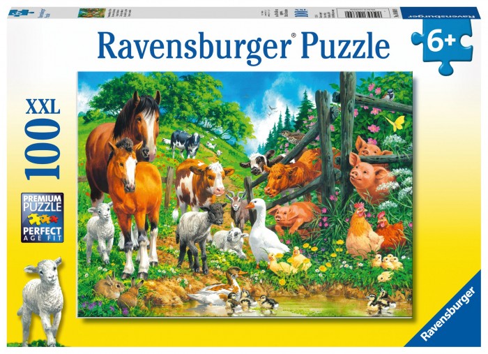  Ravensburger    100 