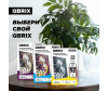  Qbrix  -   4 Vintage - Qbrix  -   4 Vintage