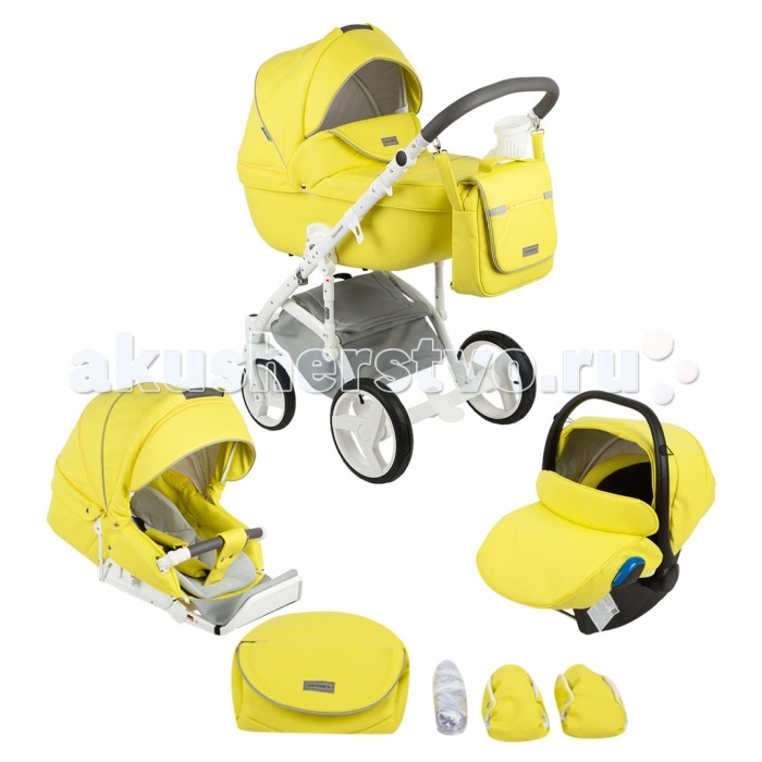  Adamex Massimo Deluxe  3  1