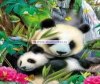  Ravensburger   300  - Ravensburger   300 