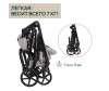   Chicco Seety Stroller - Chicco Seety Stroller