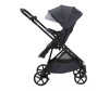   Chicco Seety Stroller - Chicco Seety Stroller