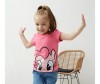     (My Little Pony)  6243 -    (My Little Pony)  6243
