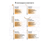  Planta     ,    PL-DSV6 - PL-DSV6_2_1-1647341402