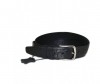 Wild Bear  RM-022m - Wild Bear  RM-022m